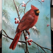 Winter Cardinal